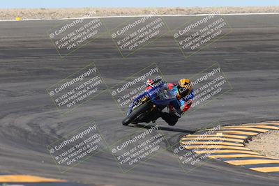 media/Mar-09-2024-SoCal Trackdays (Sat) [[bef1deb9bf]]/1-Bowl Exit (940am)/